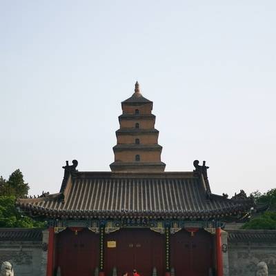 宝丽来模特