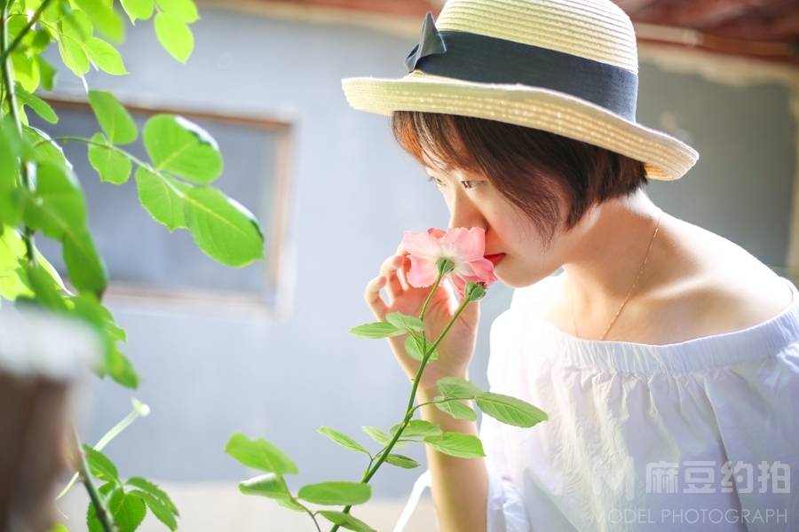 清新模特