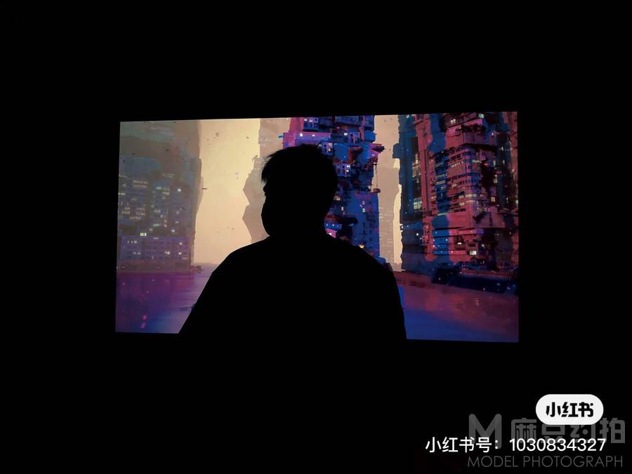 胶片模特