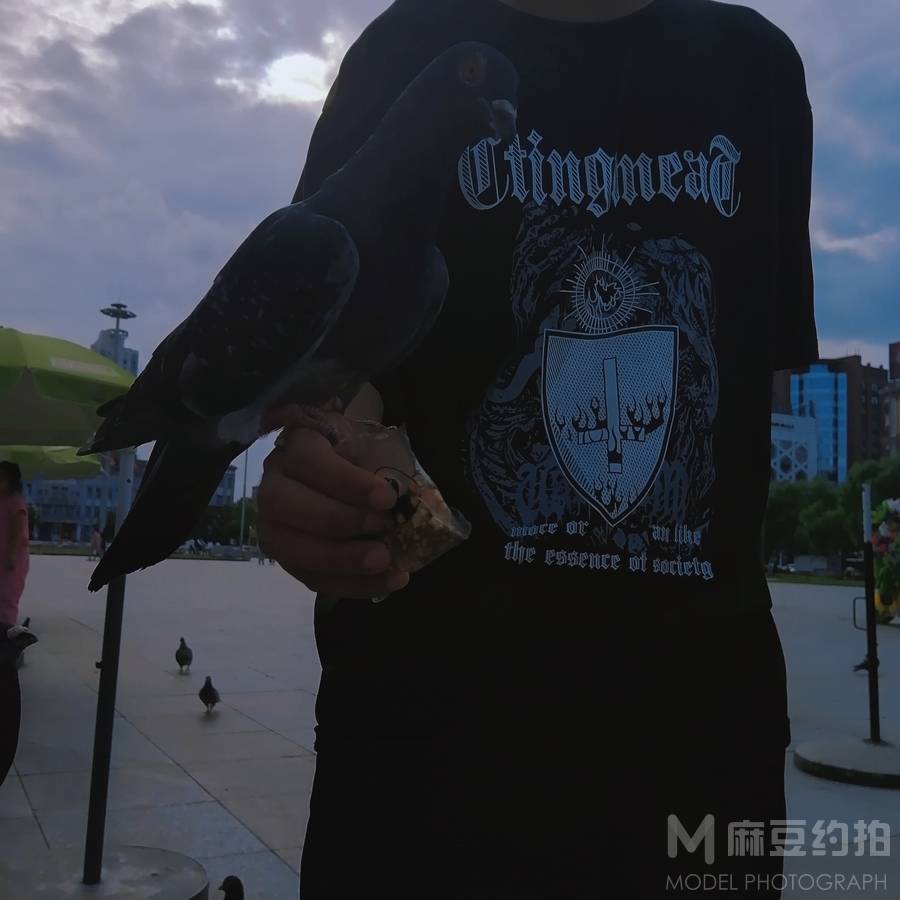 商务模特