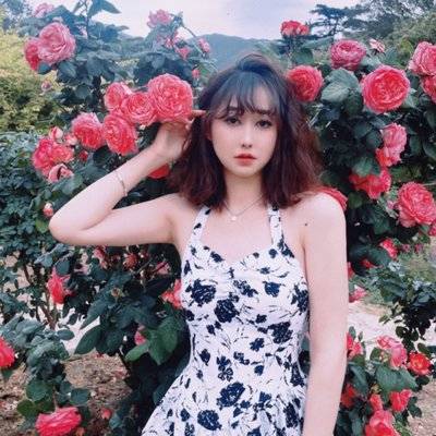 胶片模特