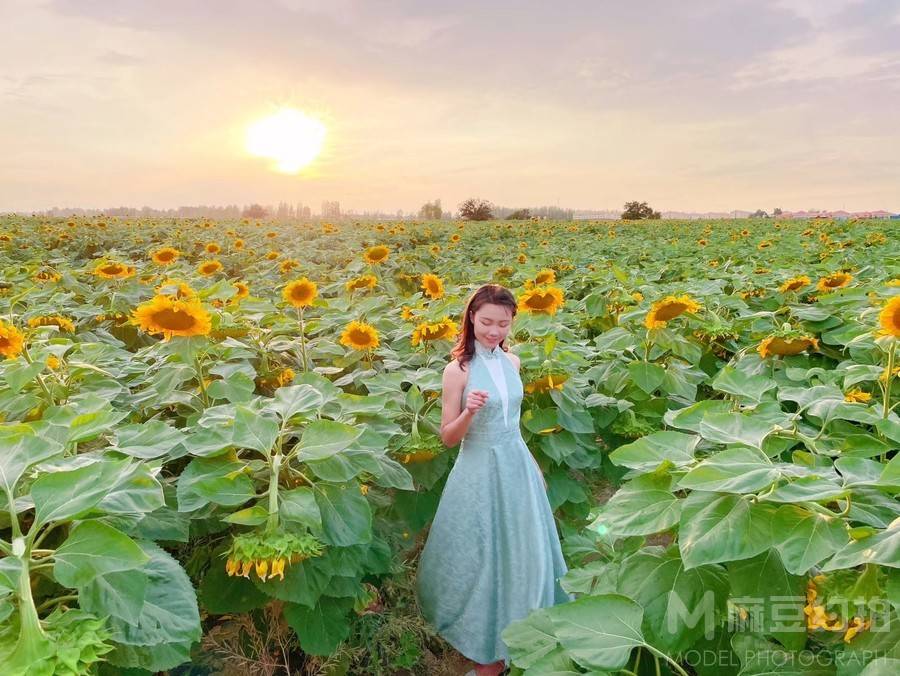 商务模特
