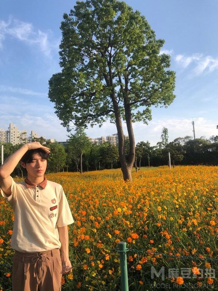 校园模特
