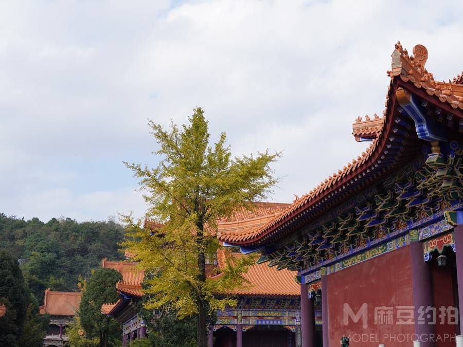 纪实模特