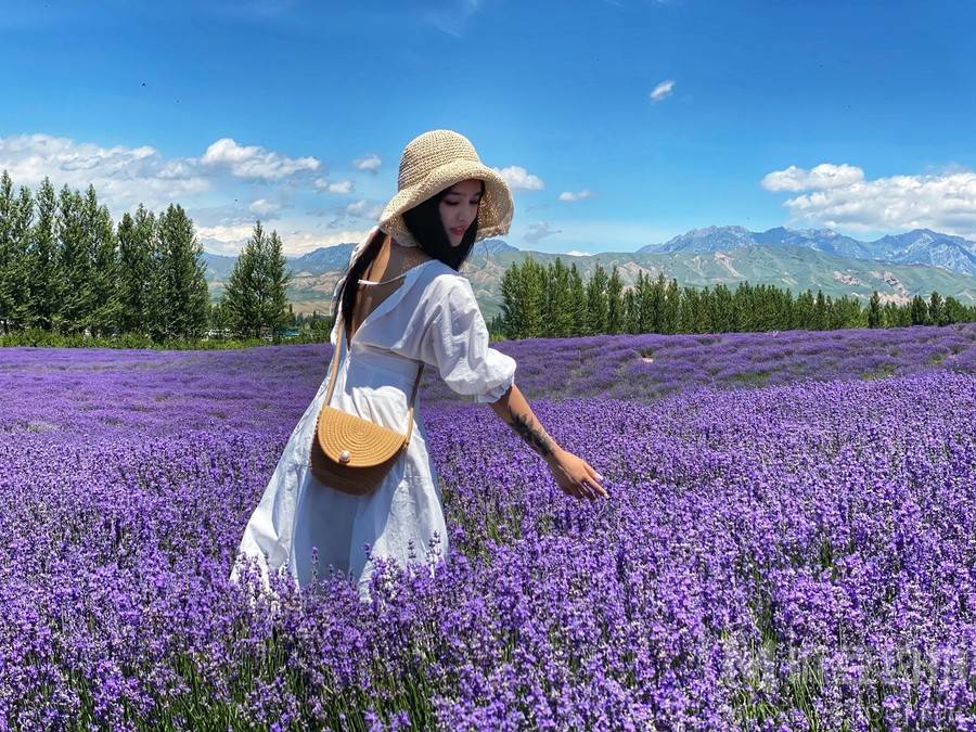 淘宝模特