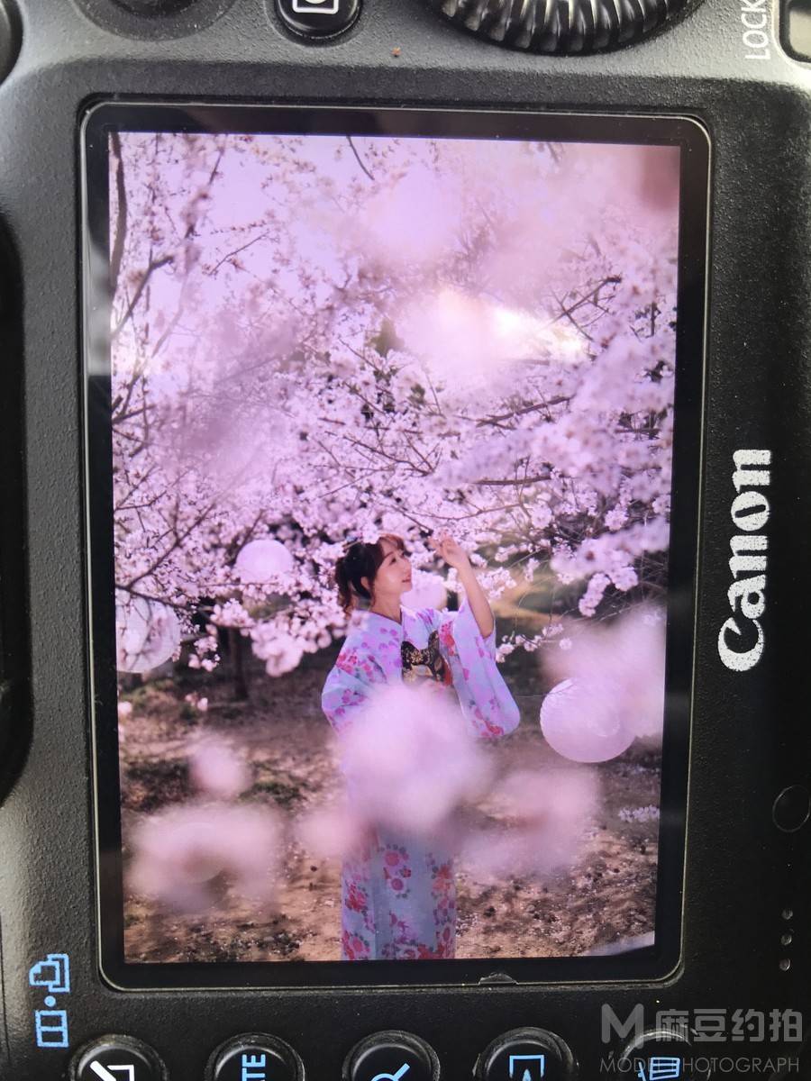 和服模特
