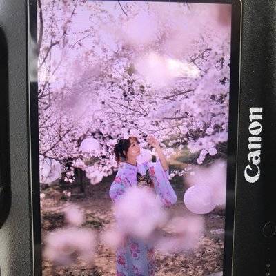 和服模特