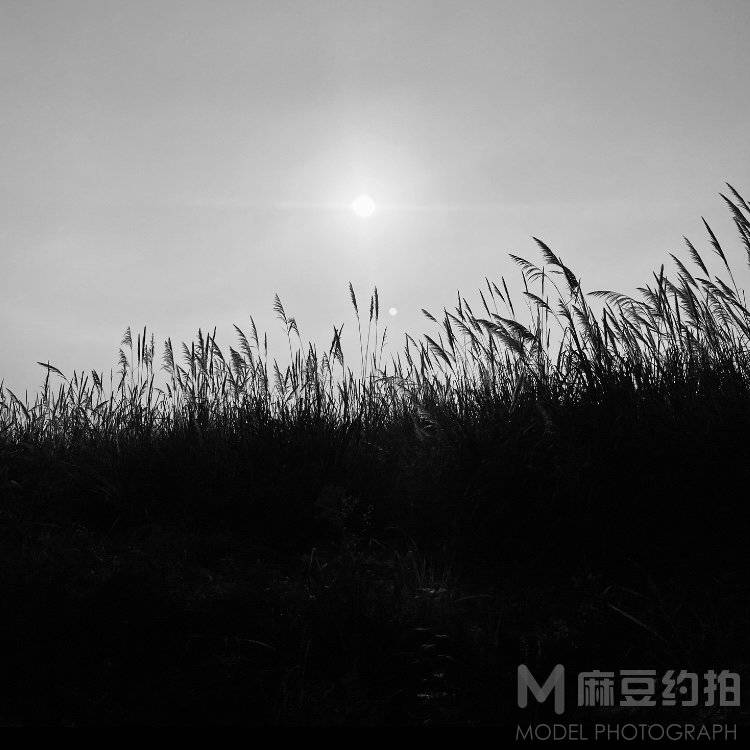 黑白模特