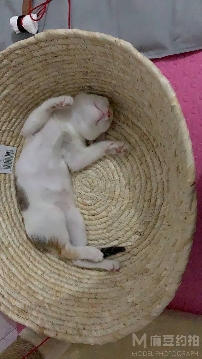 纪实模特