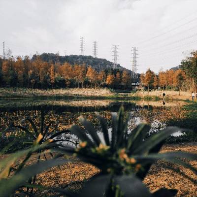 复古模特