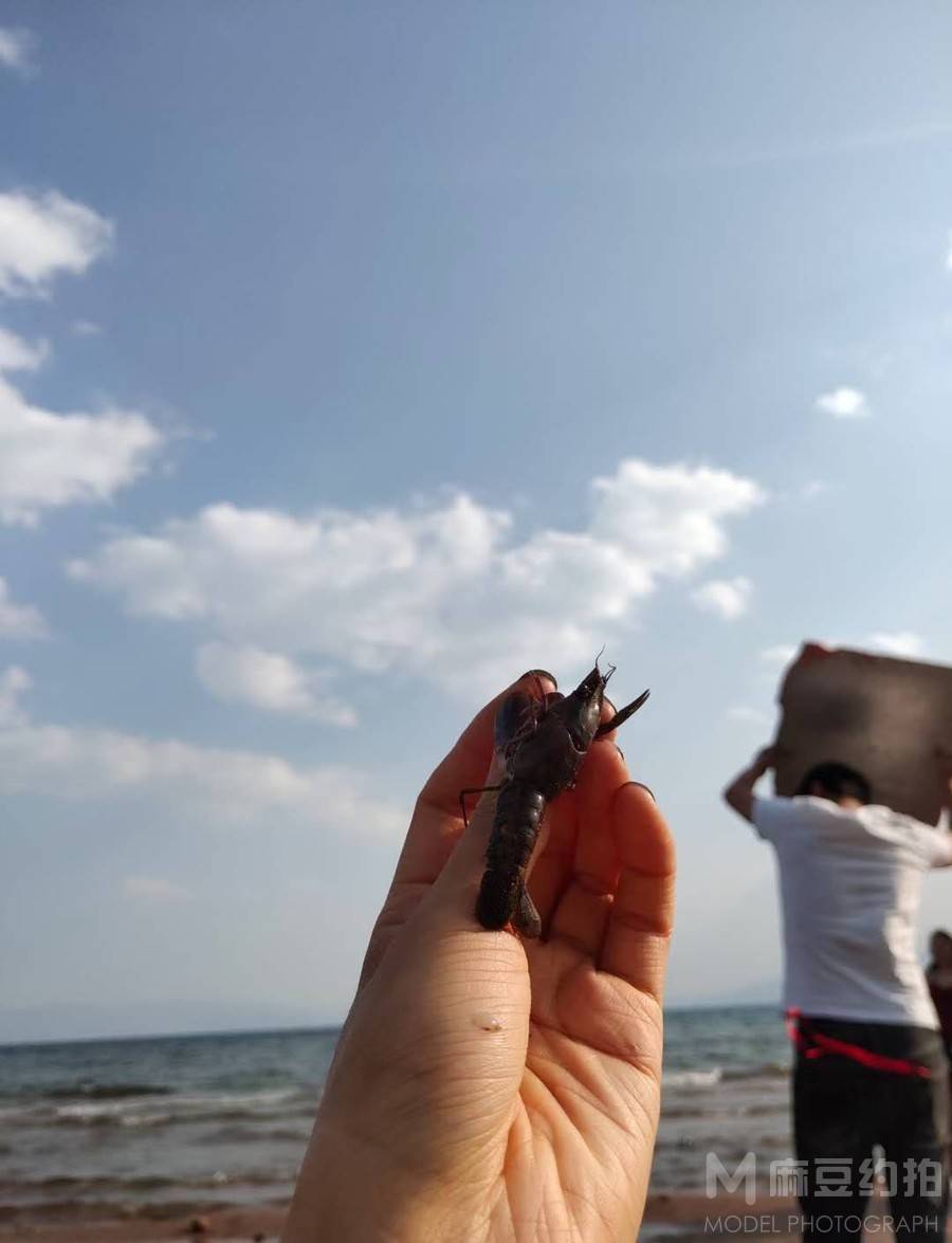 宝丽来模特