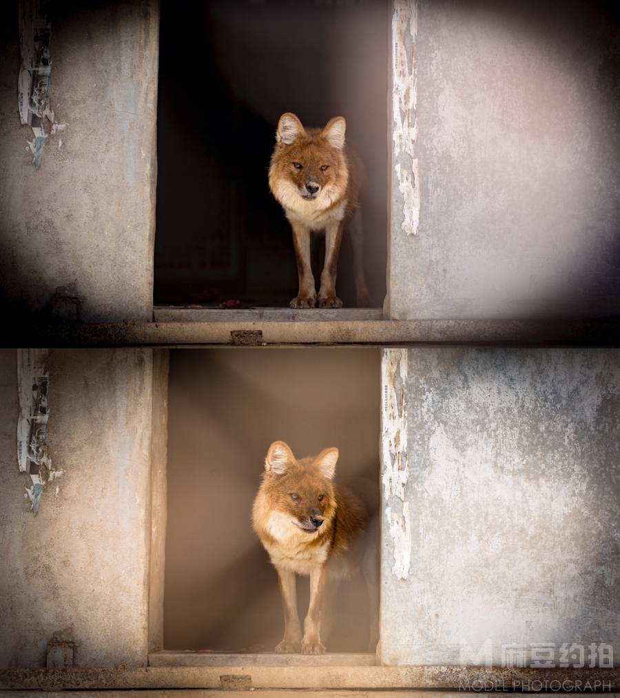 纪实模特