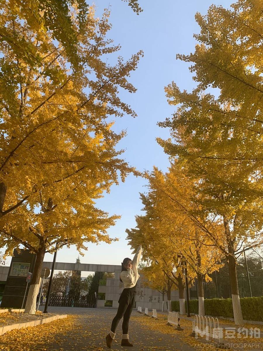 校园模特