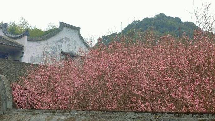 福州林阳禅寺