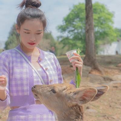 韩系模特