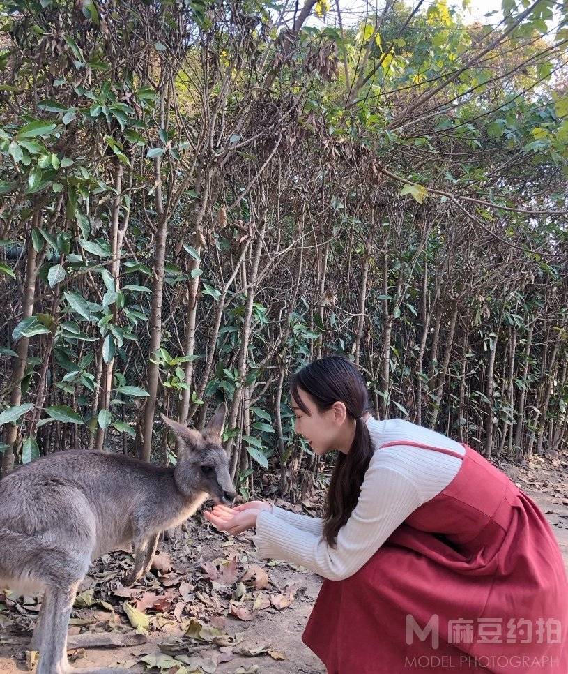 纪实模特