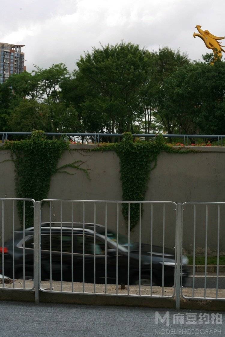 纪实模特