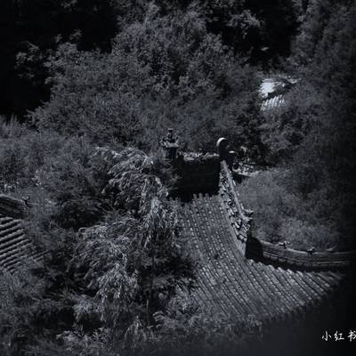 黑白模特