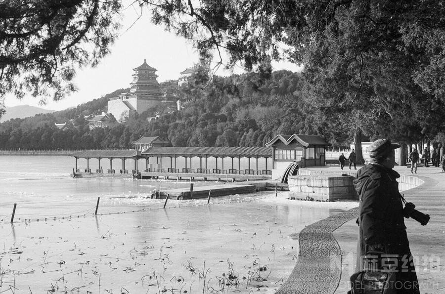 胶片模特