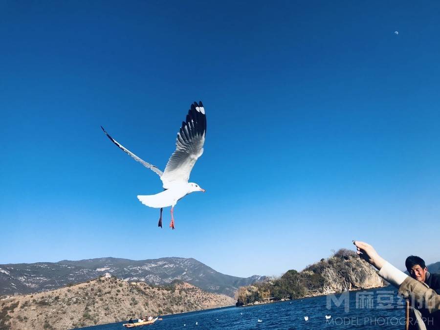 纪实模特