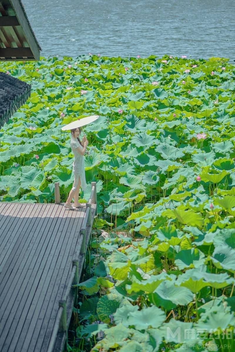 旗袍模特