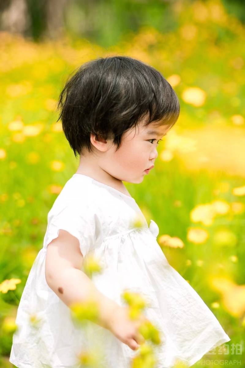 孕照模特
