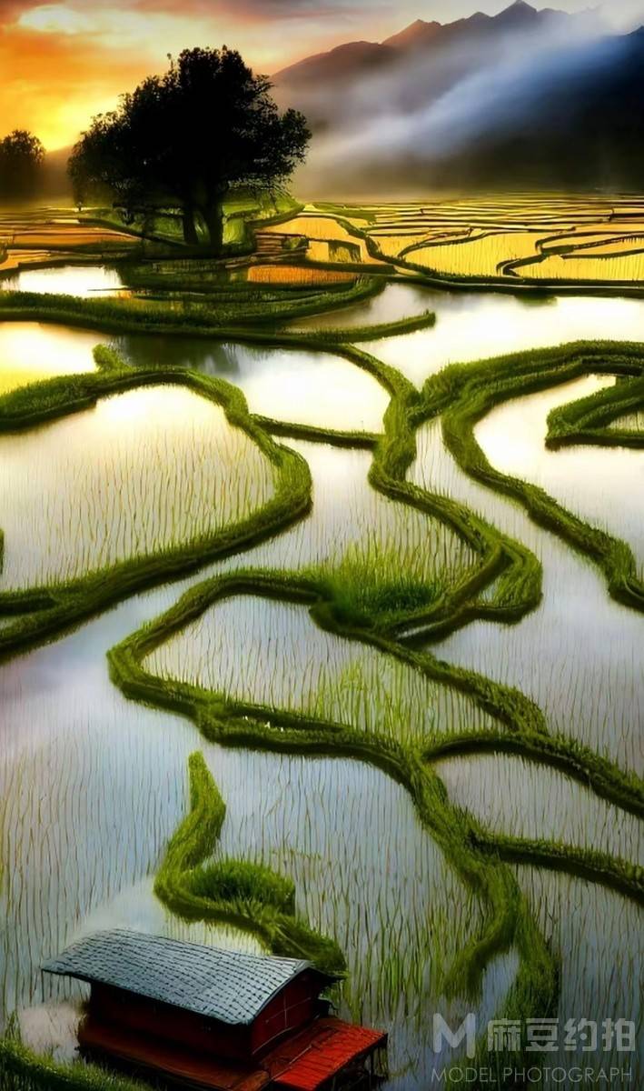 纪实模特