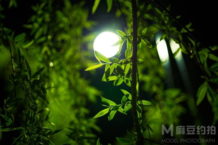 夜景模特