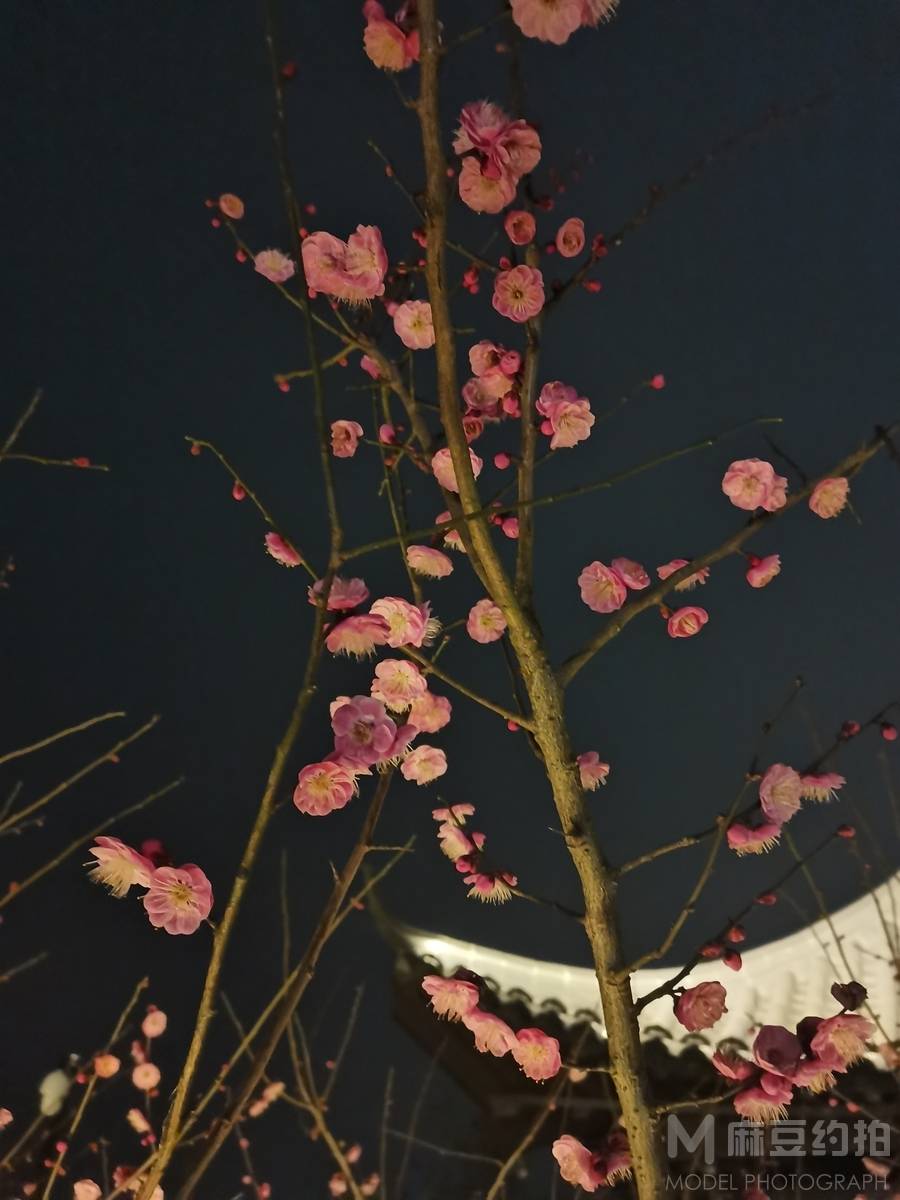 纪实模特