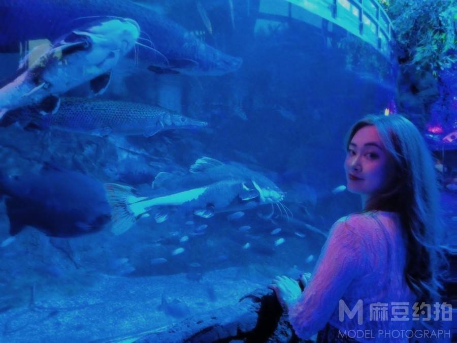 宝丽来模特