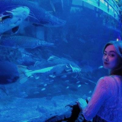 宝丽来模特