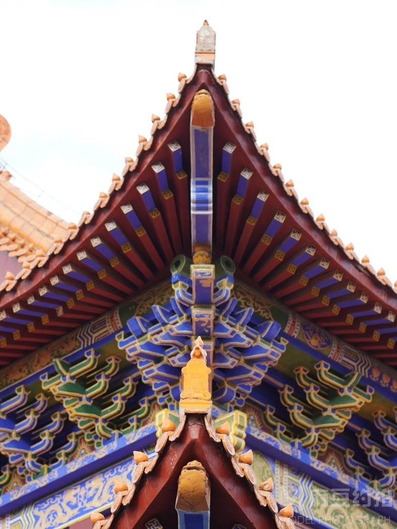 纪实模特