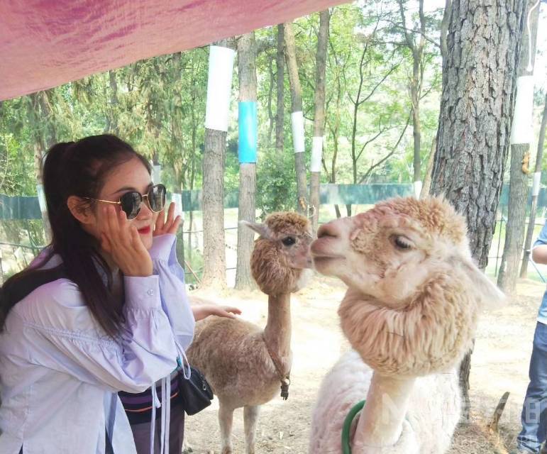 妆容模特