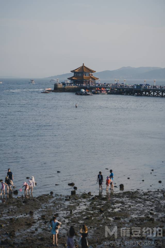 宝丽来模特