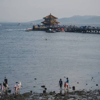 宝丽来模特
