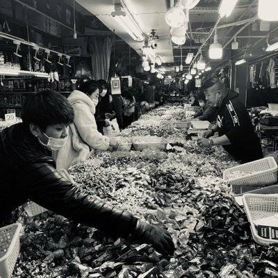 黑白模特