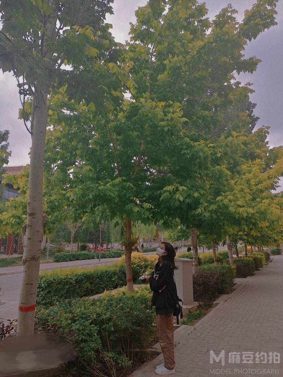 校园模特