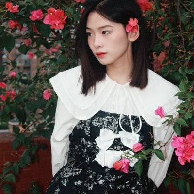 胶片模特