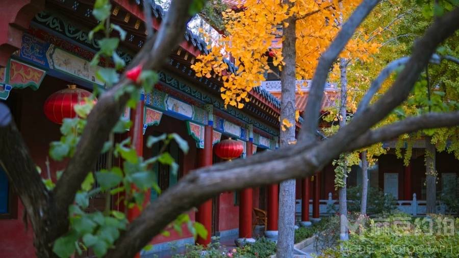 纪实模特