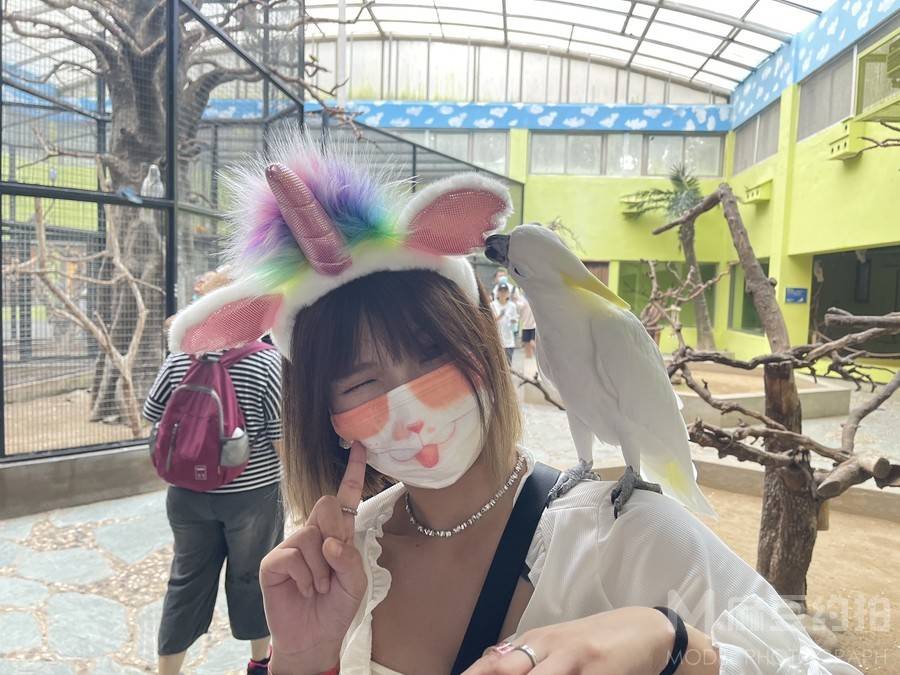 妆容模特