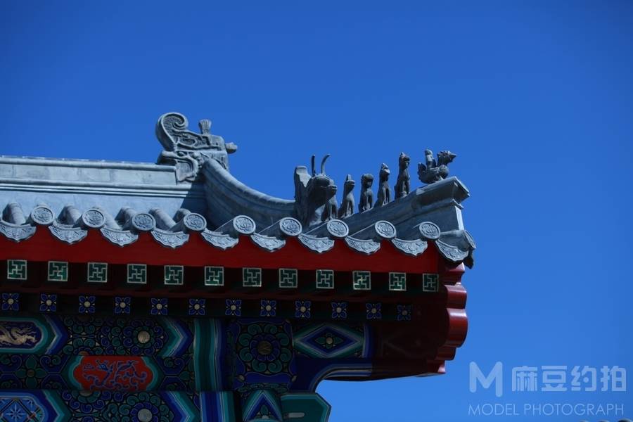纪实模特