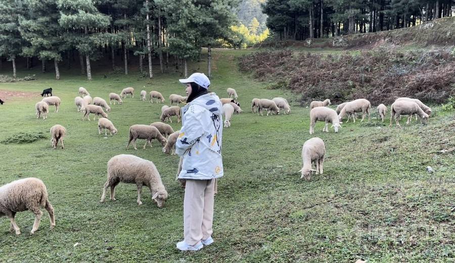 婚礼模特