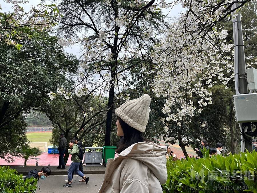 校园模特