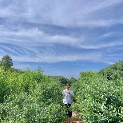 孕照模特