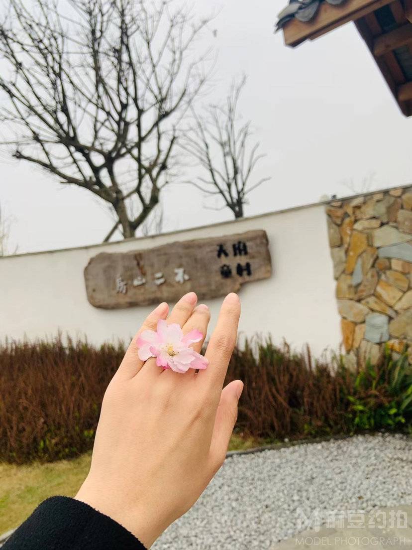 清新模特