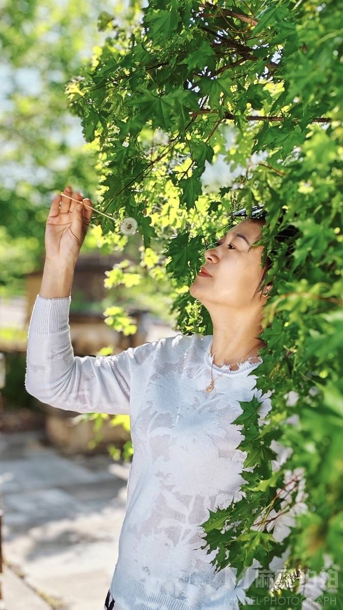 清新模特