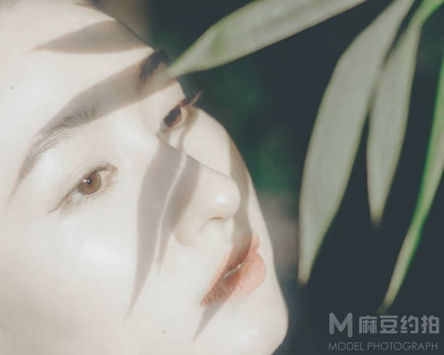 胶片模特