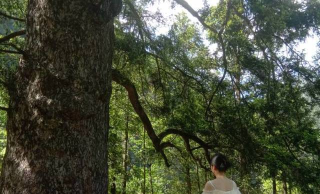 神农架风景区