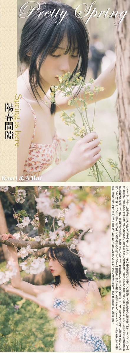 日系模特