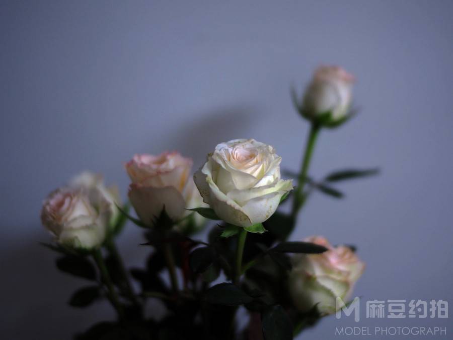 纪实模特